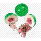 Жевательные конфеты( резинка) без глютена Fini Melon Gum  Арбуз 100 г Испания