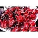 Чай каркаде Genex 80г Украина