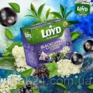 Чай с черной смородиной и бузиной Loyd Blackcurrant and Elderberry flower  20 пирамидок  Польша