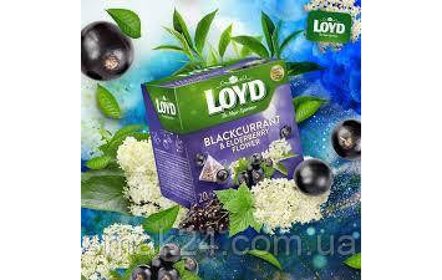 Чай с черной смородиной и бузиной Loyd Blackcurrant and Elderberry flower  20 пирамидок  Польша