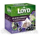Чай с черной смородиной и бузиной Loyd Blackcurrant and Elderberry flower  20 пирамидок  Польша