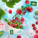 Чай с клюквой и малиной Loyd Cranberry&Raspberry 20 пирамидок  Польша