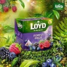 Чай с лесными фруктами Loyd Forest Fruit 20 пирамидок  Польша