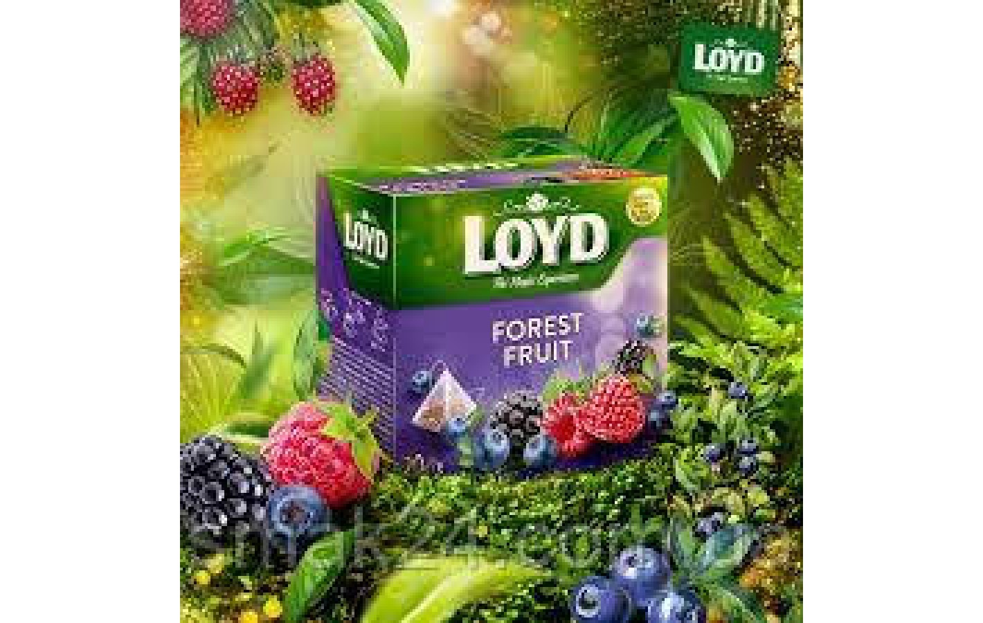 Чай с лесными фруктами Loyd Forest Fruit 20 пирамидок  Польша