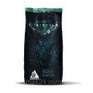 Кофе в зернах Cafe Burdet Guatemala  Gourmet, 1 кг Испания