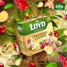 Чай із журавлиною й імбиром Loyd Cranberry&Ginger 20 пірамідок 40 г Польща