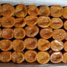Курага Узбекська 