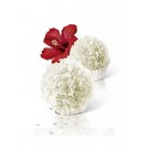 Конфеты Raffaello  Ferrero 1 штучка Германия