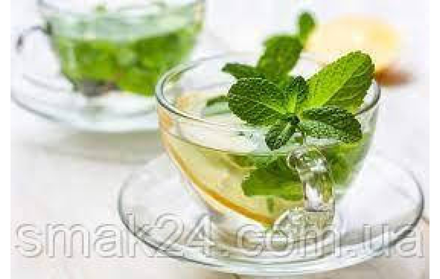Чай травяной с мятой пакетированный Bi Vita Peppermint (20шт. по 1,5г) 30г Латвия