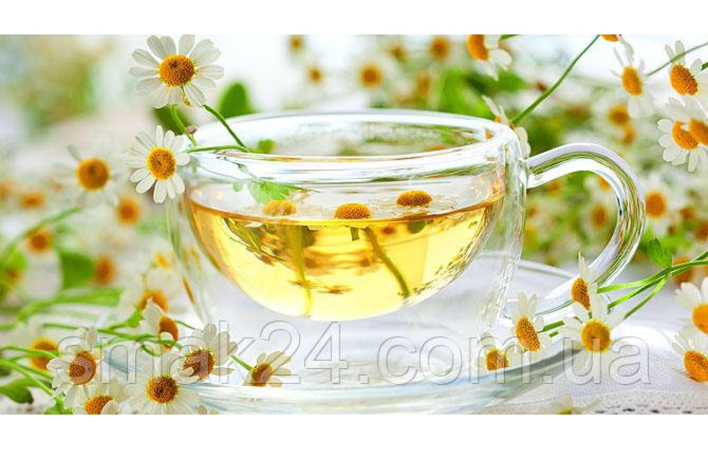 Чай травяной с ромашкой пакетированный Bi Vita Camomile (20шт. по 1,5г) 30г Латвия