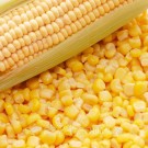 Кукуруза сахарная консервированная С бабушкиной грядки 510г Украина