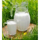 Молоко БЕЗ ЛАКТОЗЫ Lowicz Mleko Bez Laktozy жир. 1,5% 1 л Польша