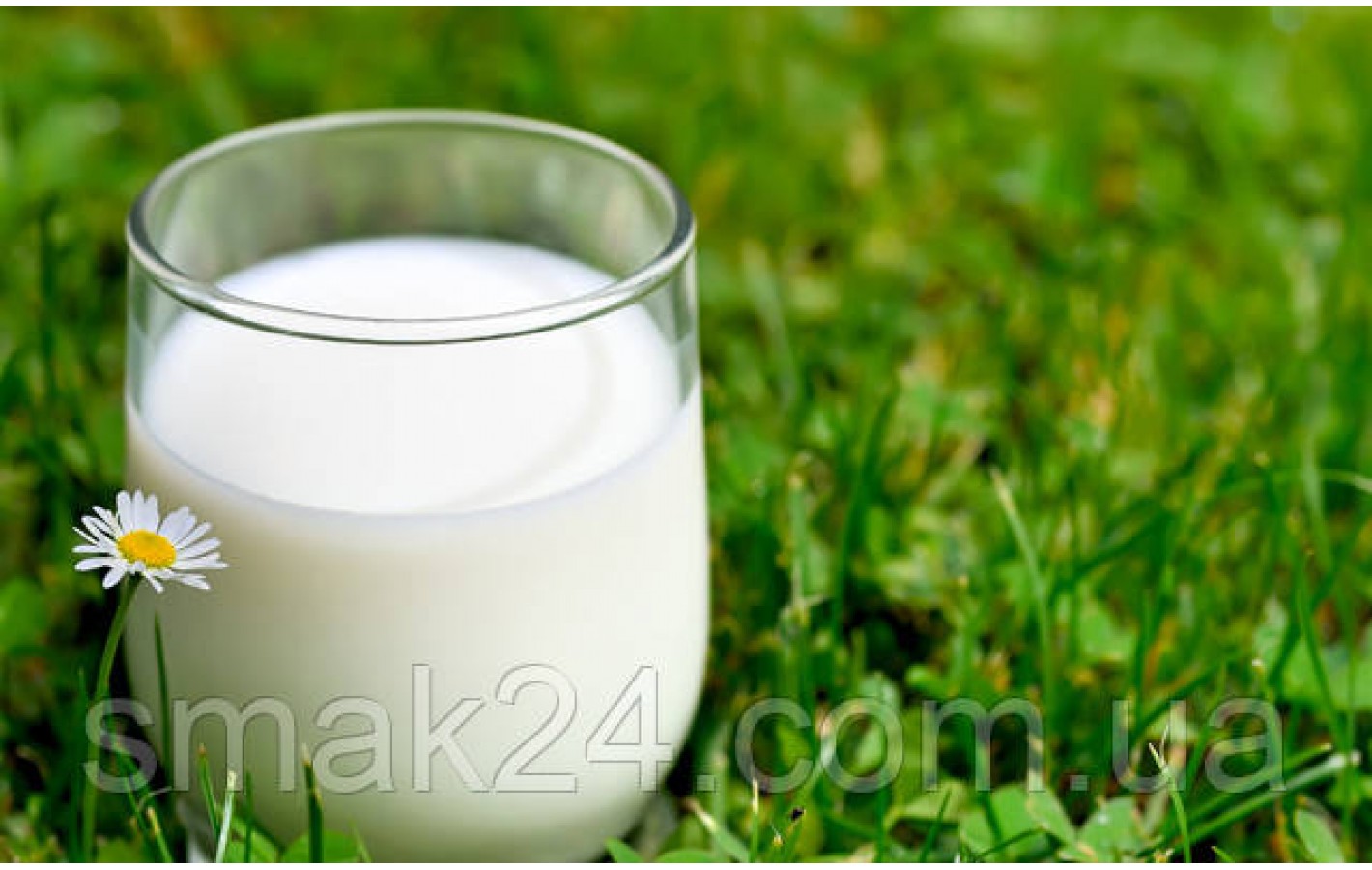 Молоко БЕЗ ЛАКТОЗЫ Lowicz Mleko Bez Laktozy жир. 1,5% 1 л Польша