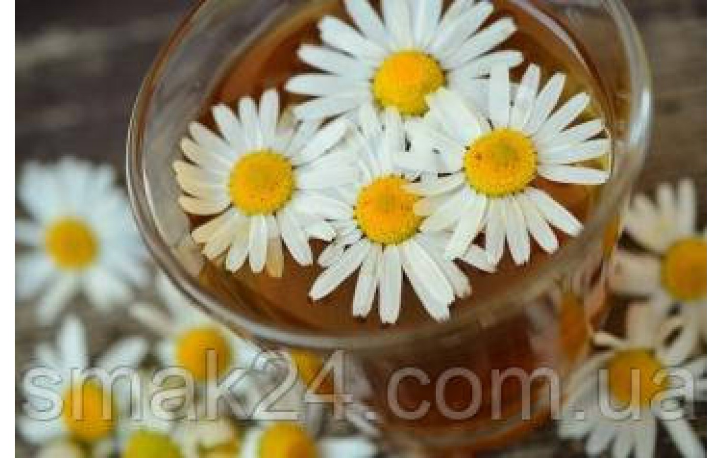 Чай ромашковый Pickwick Herbal Camomile 20пак. 30г Нидерланды