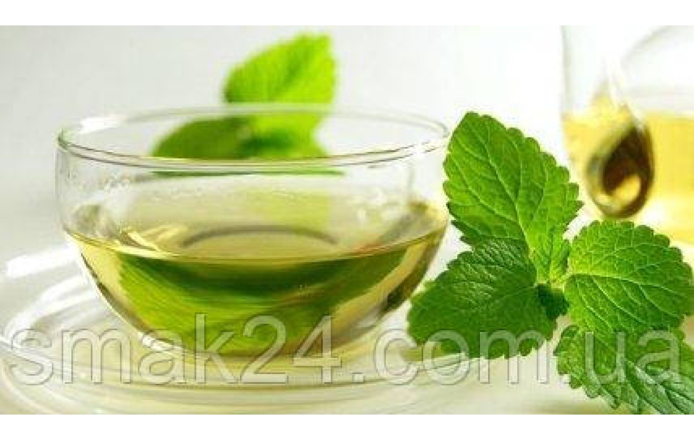 Чай мятный Pickwick Herbal Mint 20пак. 30г Нидерланды