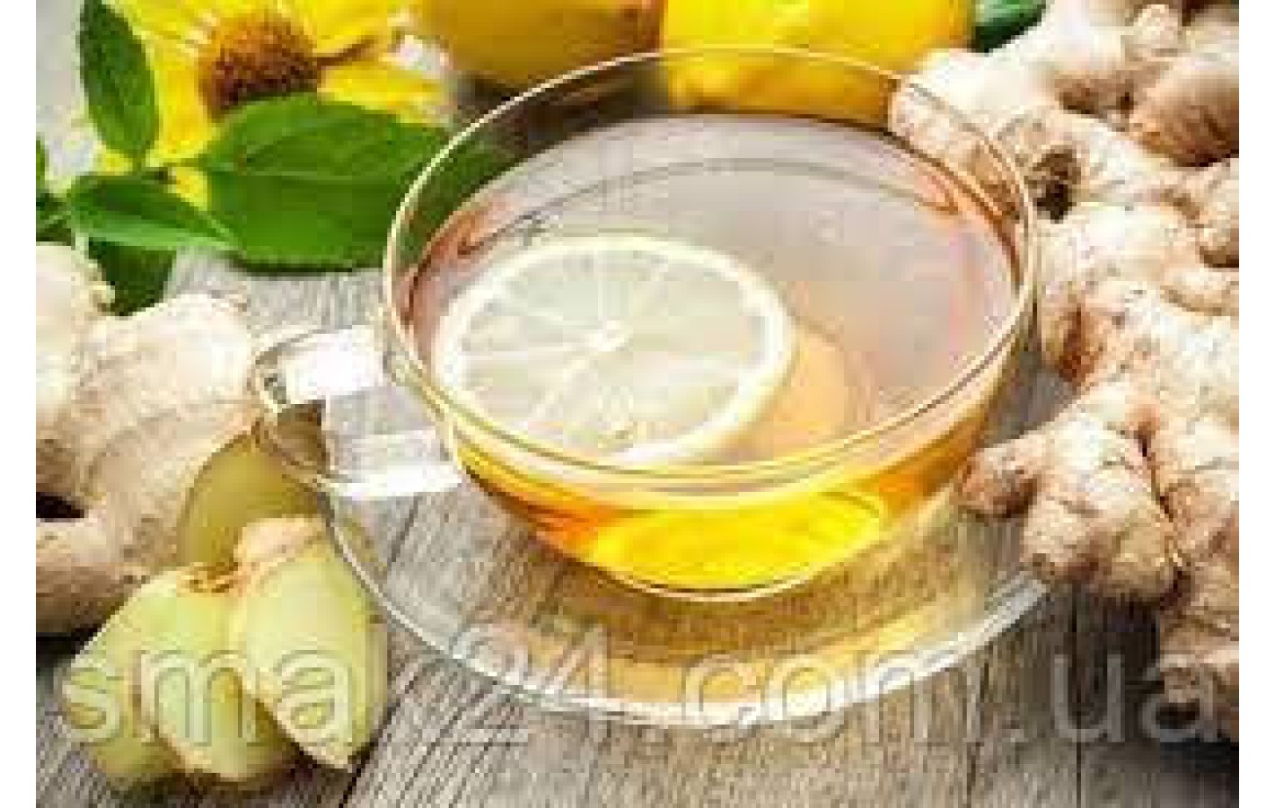 Чай фруктовый Pickwick Fruit Fusion ginger, lemon & lemon grass 20пак. 40г Нидерланды