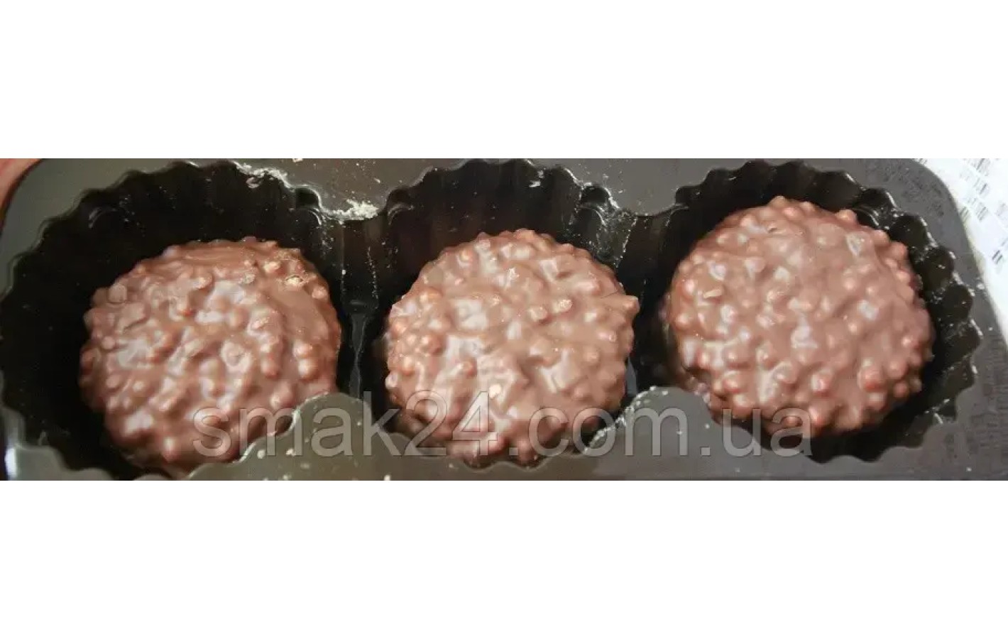 Печиво в шоколаді з кокосом Jezyki coconut Goplana, 140 г Польща