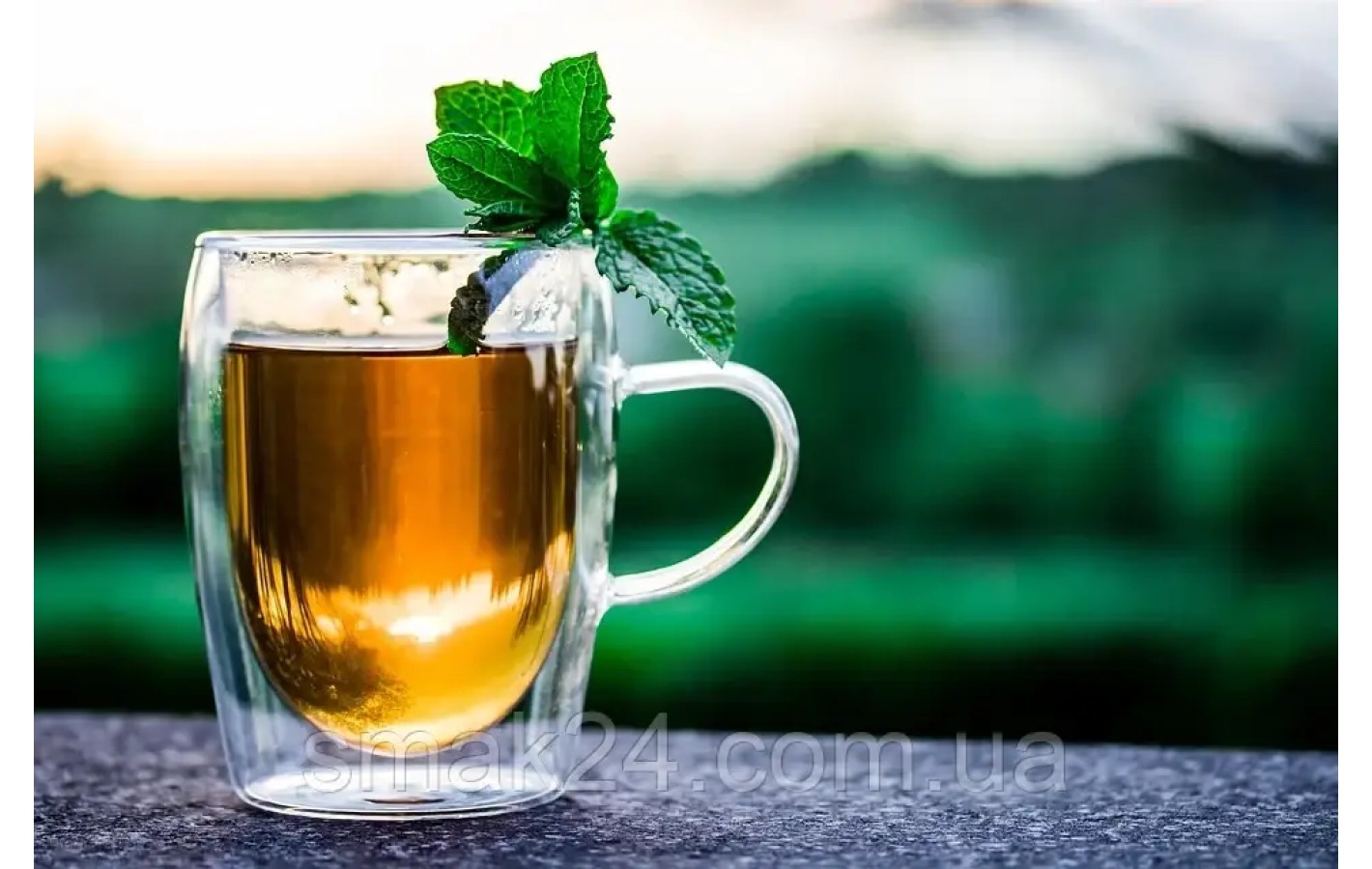 Чай ЭКО черный Cornwall Ceylon-Assam (50штх1,75г) 87,5г Германия
