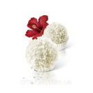Конфеты Raffaello Ferrero (25штук) 260г Германия