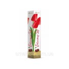 Конфеты Молочный шоколад с вишневой начинкой Baron Delicious Gift 90г Польша