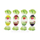 Яйце Марципан з лісовим горіхом у чорному шоколаді Favorina Marzipan Egg Praline 100г Германия