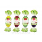 Яйце Марципан зі смаком сливи та мадери в темному шоколаді Favorina Marzipan Egg Madeira Win&Plum 100 г Німеччина