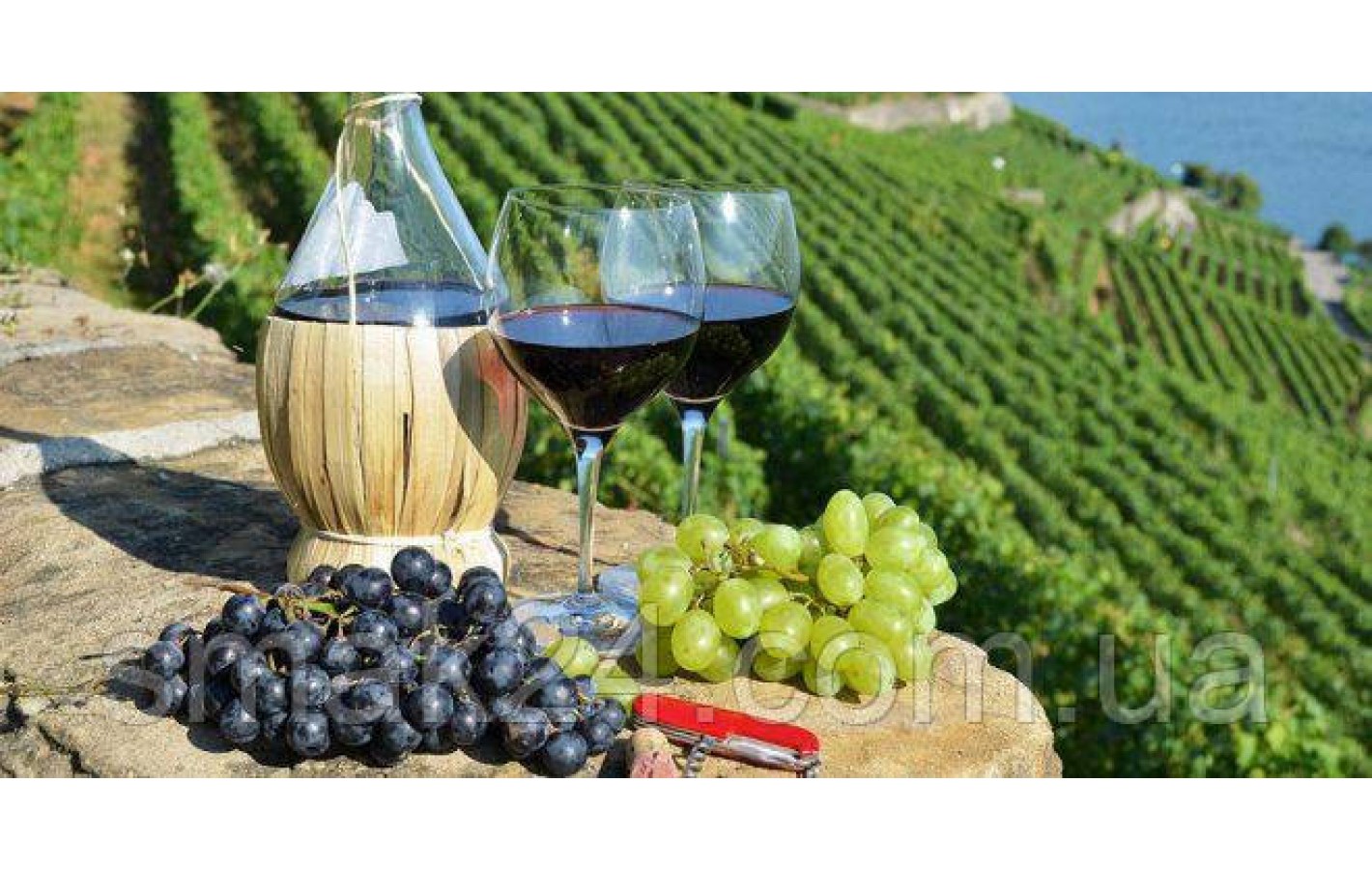 Вино виноградне червоне сухе Sangiovese Rubicone 0,75 л