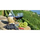 Вино виноградне червоне сухе Cantalupo Nero di Troia 0,75 л