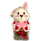 Драже шоколадное в цветной глазури Зайка БЕЗ ГЛЮТЕНА Easter Club 100г Нидерланды