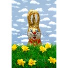 Шоколадный заяц Chocolate Easter Bunny 150г Нидерланды