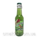 Напій Яблуко-Лайм-Кактус Tymbark Apple Lime Cactus drink 250мл Польща