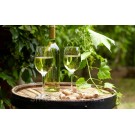 Вино виноградное белое полусухое Cal y Canto Verdejo 12% 0,75л Испания