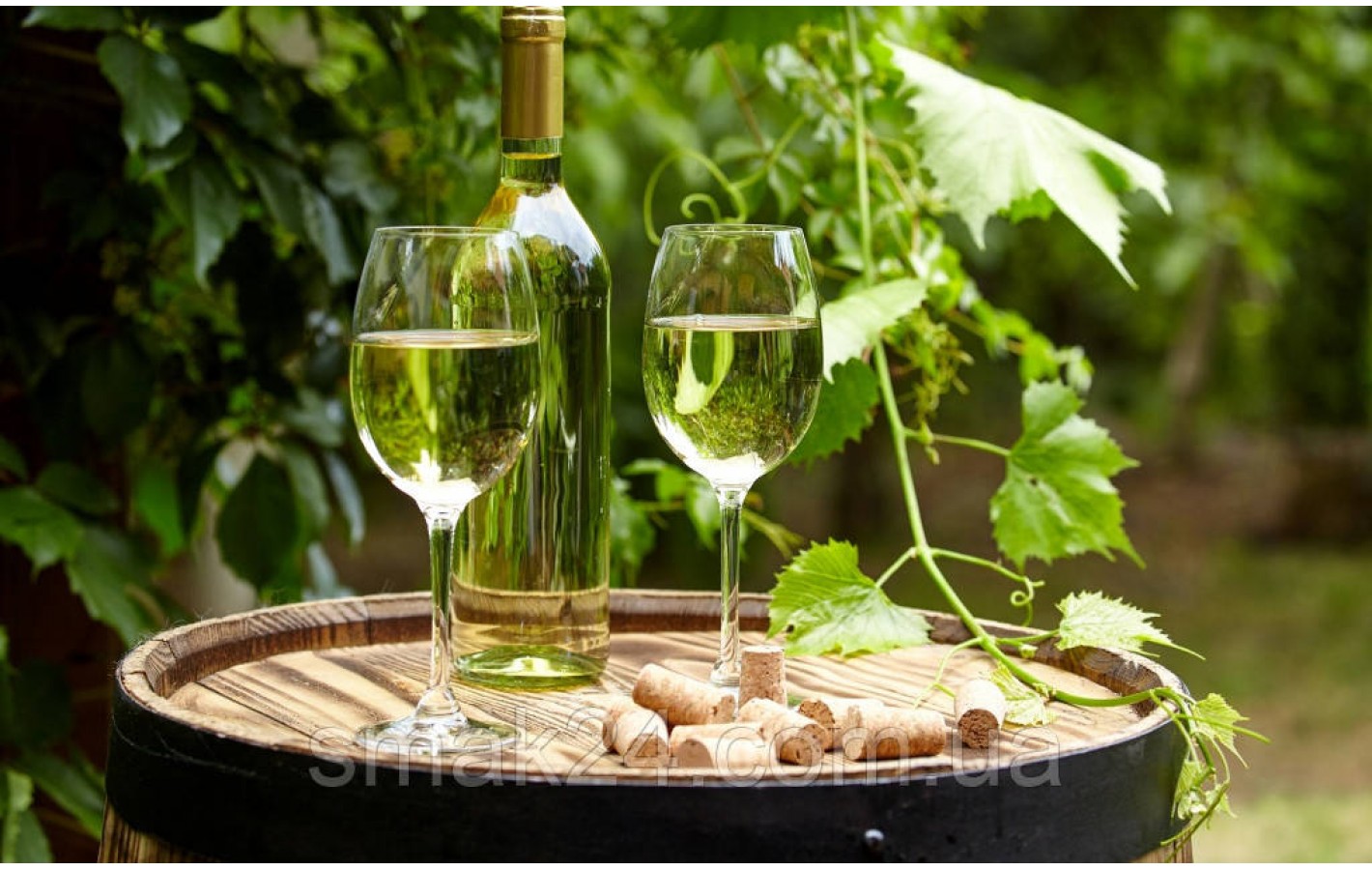 Вино виноградное белое полусухое Cal y Canto Verdejo 12% 0,75л Испания