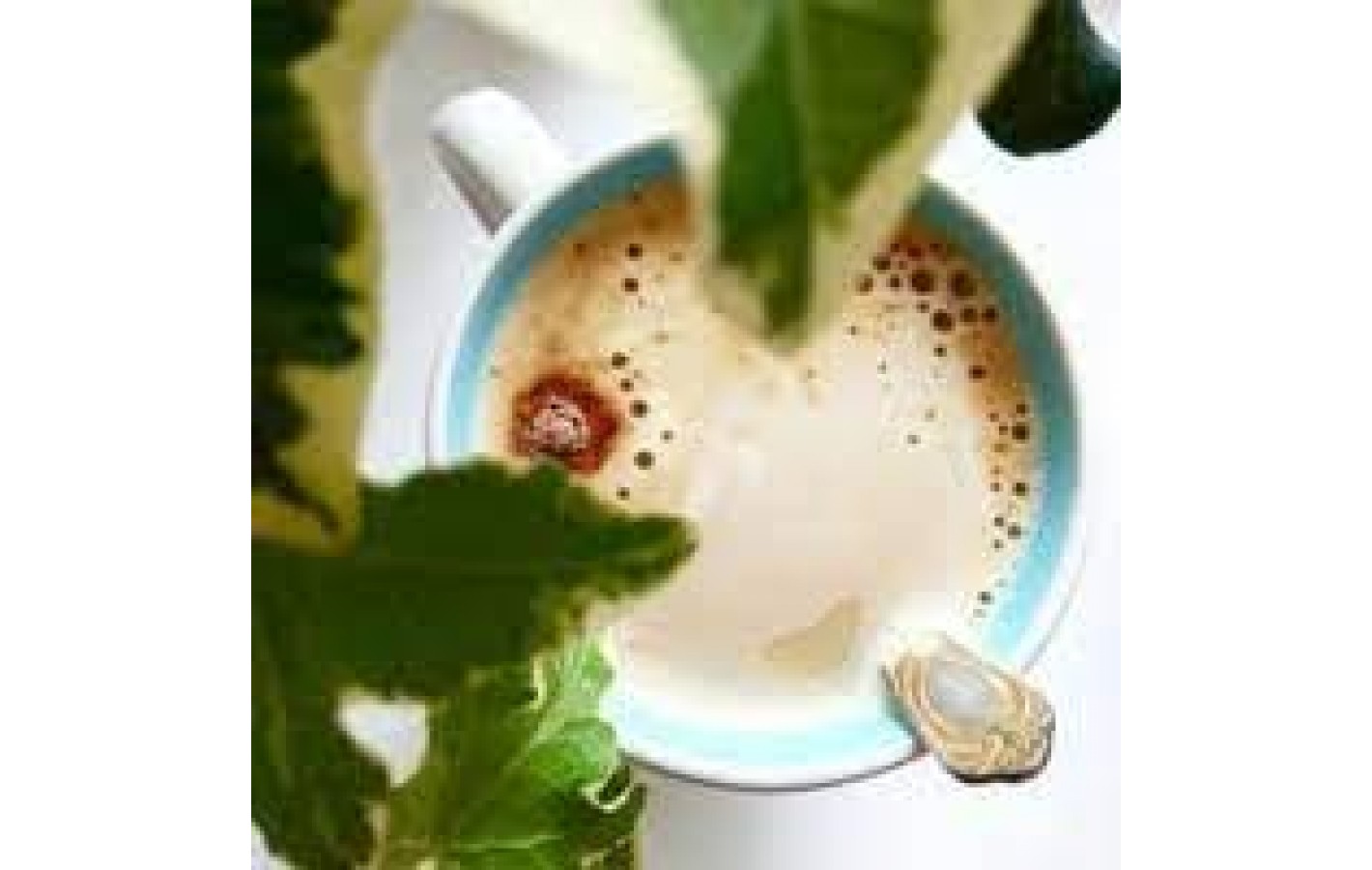 Кофе растворимый Jacobs Cafe Latte 3 в 1 в стиках 10х12.5г 125г Нидерланды