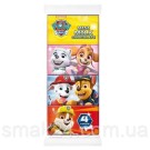 Набор мини-шоколада Щенячий Патруль Mini Milk Chocolate Paw Patrol (4х20г) 80г Польша