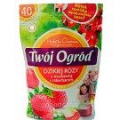 Чай фруктовый пакетированный Twoi Ogrod с шиповником, клубникой и ревенем (40штх2г) Польша